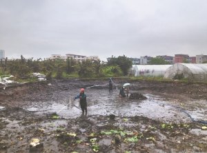 乾安河道鱼塘清淤